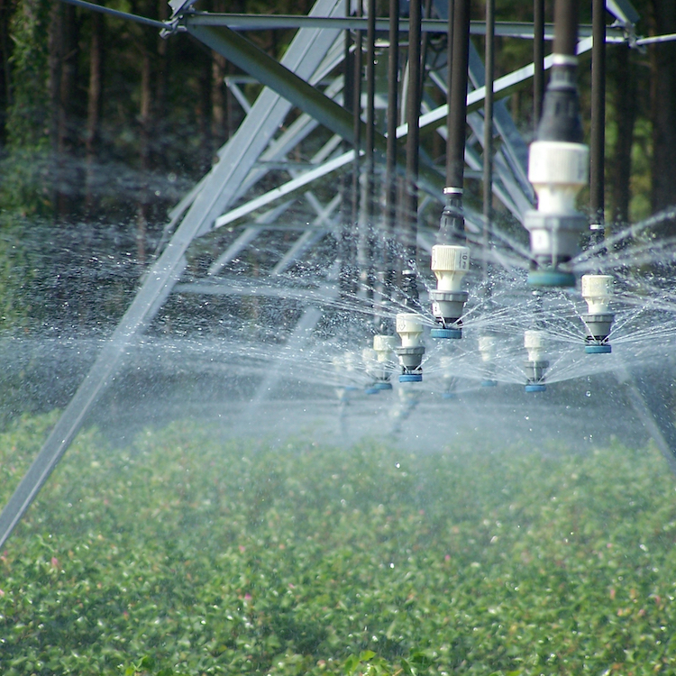 Southwest Georgia farmers gain access to deep groundwater